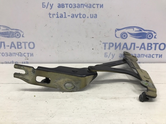 Петля багажника 96636501 GM