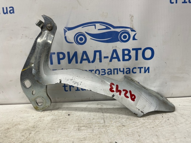 Петля капота, права DS7Z16796A FORD