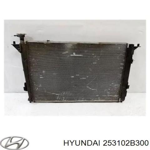 Підвіска радіатора 253102B300 HYUNDAI