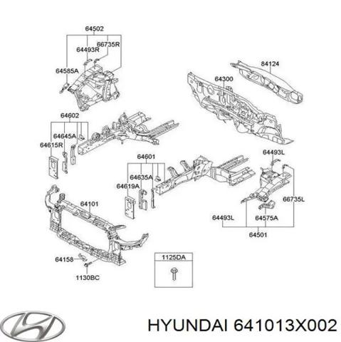 Окуляр для фари 641013X002 HYUNDAI