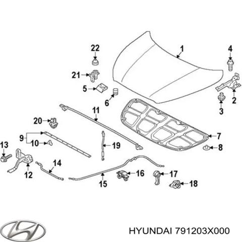 Завіс капота, правий 791203X000 HYUNDAI