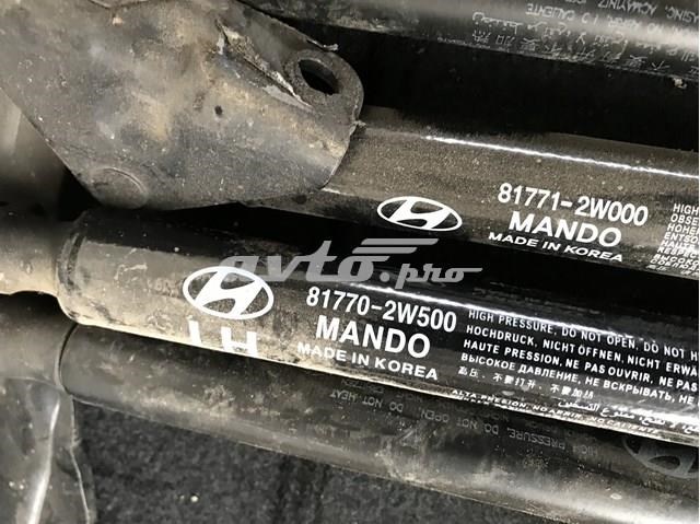 Амортизатор двері задньої 817712W000 HYUNDAI