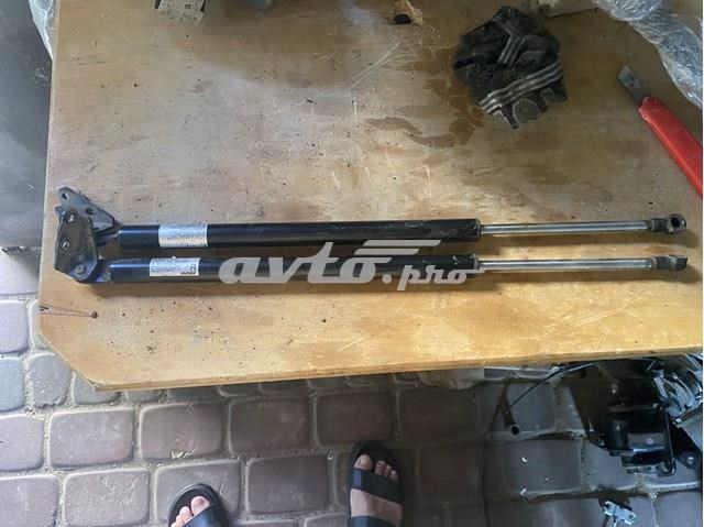 Амортизатор двері задньої EG2163620C MAZDA