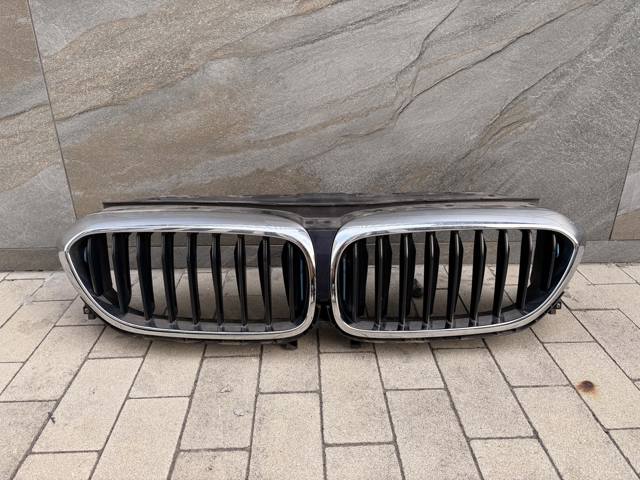 Захисна решітка радіатора 51137497280 BMW