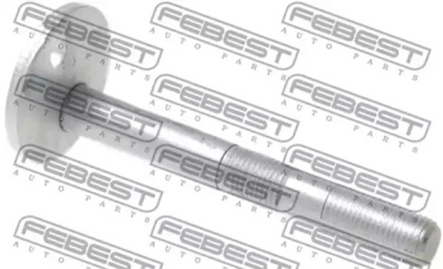 Болт переднього важеля, верхнього 0129010 FEBEST