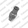 Датчик температури радіатора TS2686 VERNET