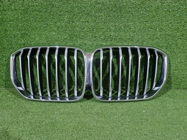 Решітка радіатора 51137454887 BMW