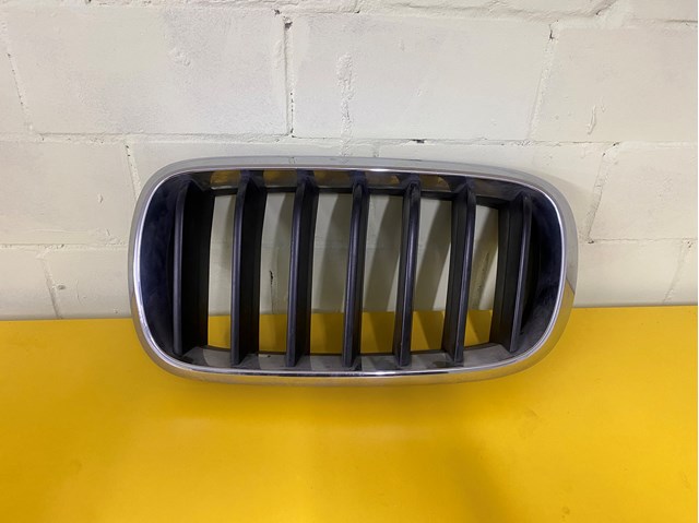 Решітка радіатора ліва 51137316061 BMW
