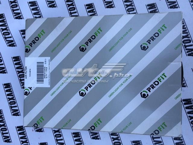 Елемент повітряного фільтра 15122632 PROFIT