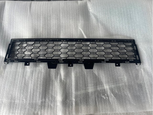 Решітка переднього бампера, центральна 51118069208 BMW