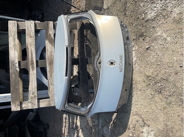 Задні двері багажника 7751473705 RENAULT