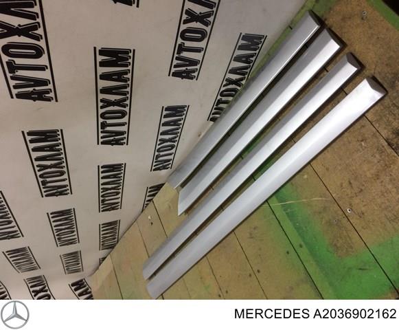Молдинг передньої лівої двері A2036902162 MERCEDES