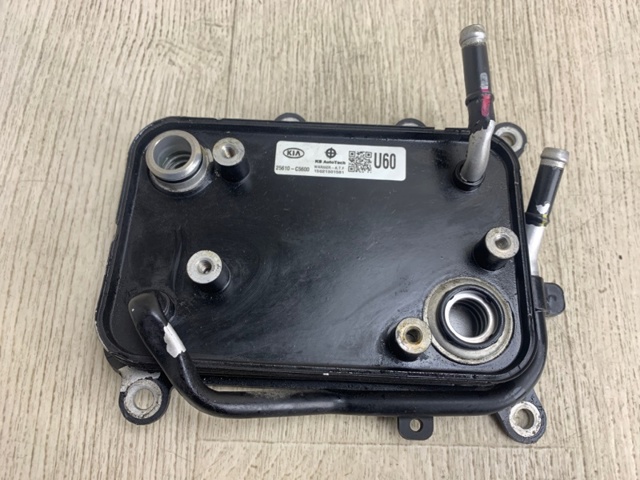 25620C5600 Hyundai/Kia