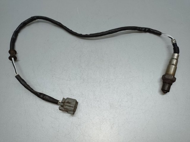 36531PAA305 Honda
