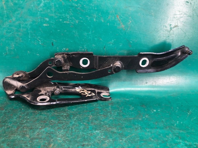 Петля кришки багажника 41007373847 BMW