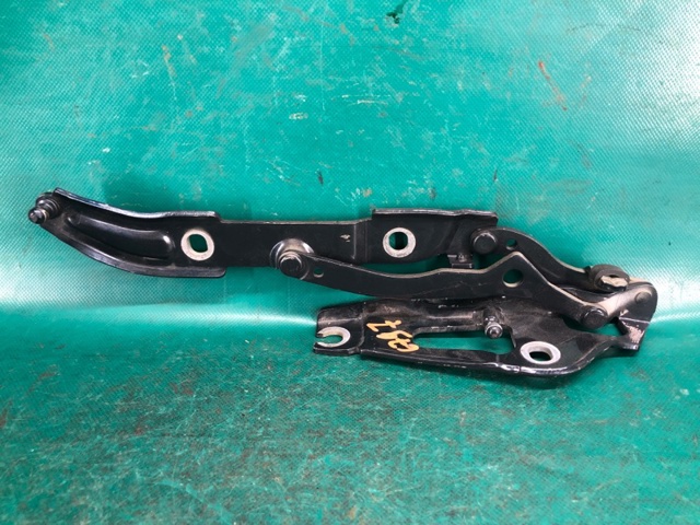 Петля кришки багажника 41007373848 BMW