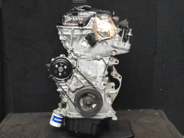 Двигун у зборі PYZE02300A MAZDA