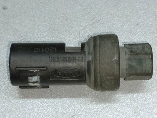 XR83792 Jaguar