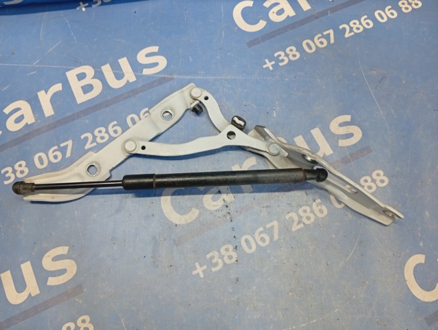 Петля багажника 41627210675 BMW