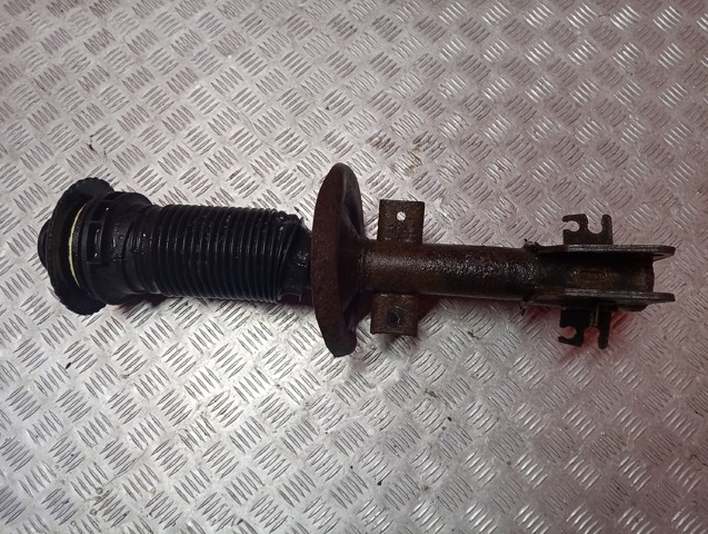 Амортизатори передні 543028774R RENAULT