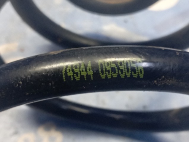 Пружини задні 550202870R RENAULT