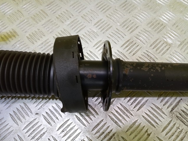 Амортизатори задні 7P6513029AN VAG