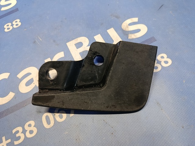 Бризговики передній, правий 8200091702 RENAULT