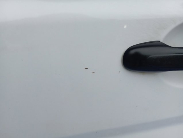 Водійські двері A6397201005 MERCEDES
