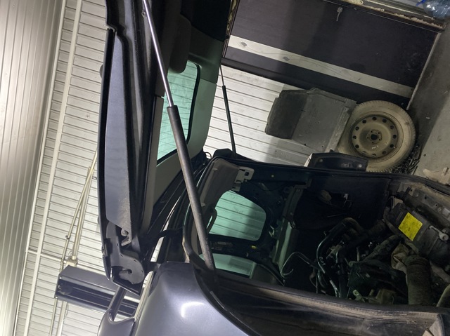 Амортизатор двері п'ятої 8200021975 RENAULT