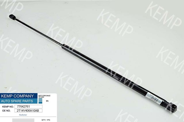 Амортизатор кришки багажника / двері 3/5-ї задньої Форд Коннект TOURNEO