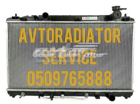 Радіатор двигуна 164000D020 MARKET (OEM)