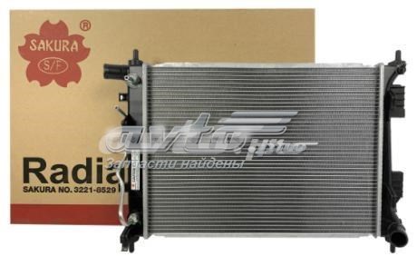 Радіатор 253101R050 MARKET (OEM)