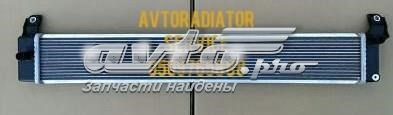 Радіатор інвентора G901033030 КИТАЙ