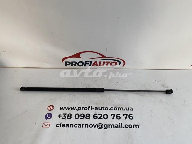 Амортизатор капота 561823359 VAG