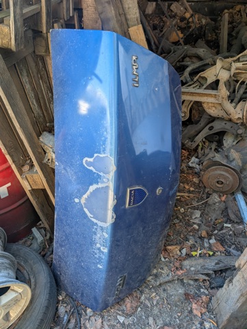 Кришка багажника кузова 8201040207 RENAULT