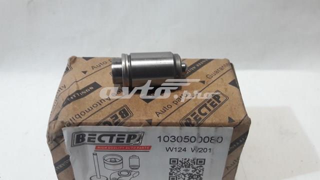 Штовхач клапанів двигуна 1030500080 BECTEP