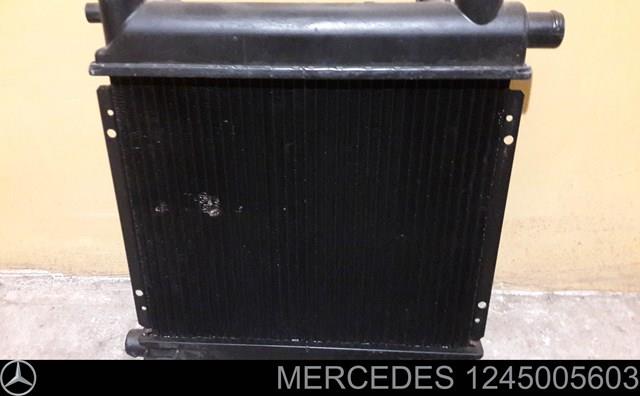 Система охолодження двигуна 1245005603 MERCEDES