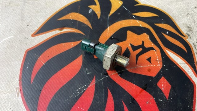 Манометри (показник тиску масла) 06L919081 VAG