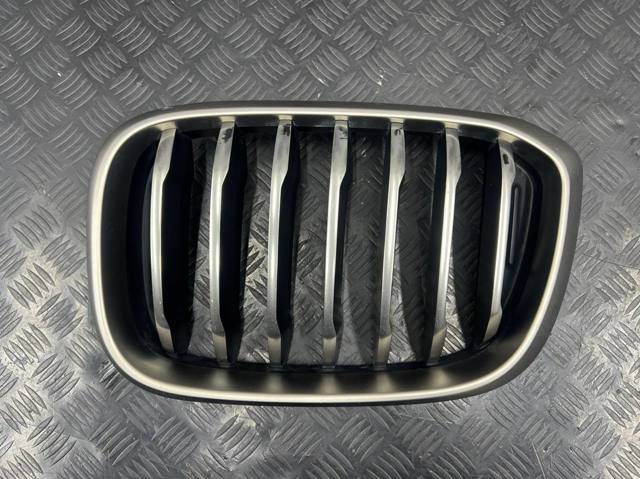 Решітка радіатора ліва 51137464921 BMW