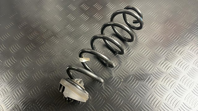 Пружини задні 8W0511115EB VAG