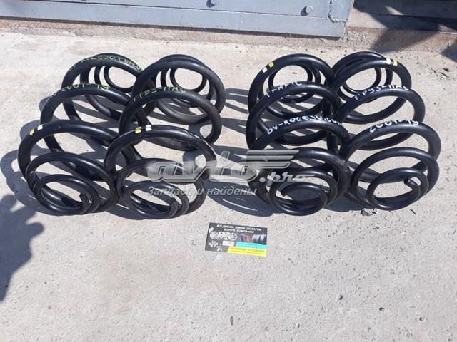 Пружини задні 550202870R RENAULT