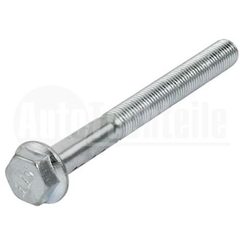 Болт / гайка кріплення 1003161 AUTOTECHTEILE
