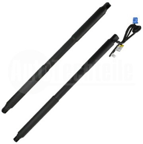 Амортизатор двері 3/5-ї задньої 1009897 AUTOTECHTEILE