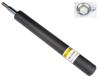 Амортизатори передні RS100786 RAISO