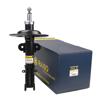Амортизатор передній RS310202 RAISO