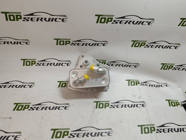 Радіатор масляний TPS0291 TPS