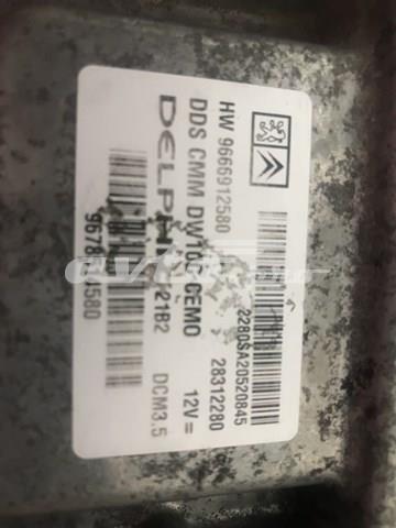 Мізки двигуна 9666912580 PEUGEOT