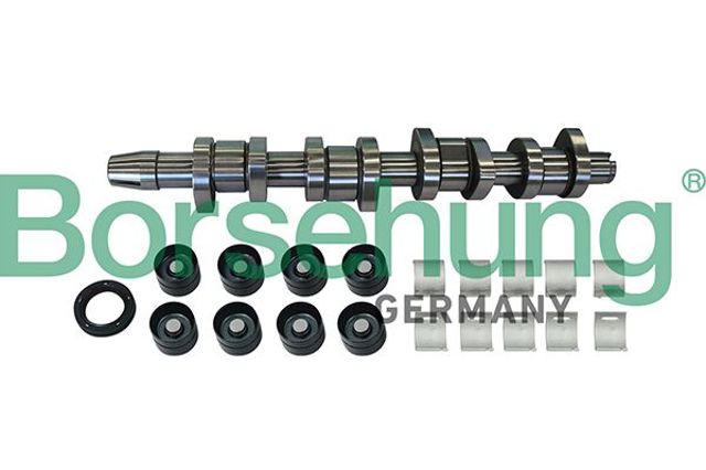 Розподільний вал двигуна, комплект B11307 BORSEHUNG