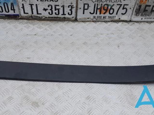 Молдинг задніх лівих дверей, нижній 103520300E TESLA