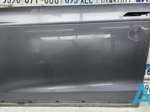 Водійські двері 1069535E0C TESLA